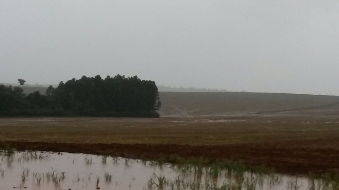 Imagem do dia - Lavoura de soja em Nueva Esperanza (PY), após fortes chuvas, do produtor Neivo Fritzen
