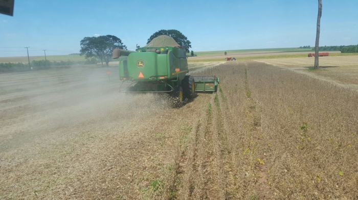 Imagem do dia - Último dia de colheita em San Alberto (PY), do produtor Elson Eduardo Teixeira