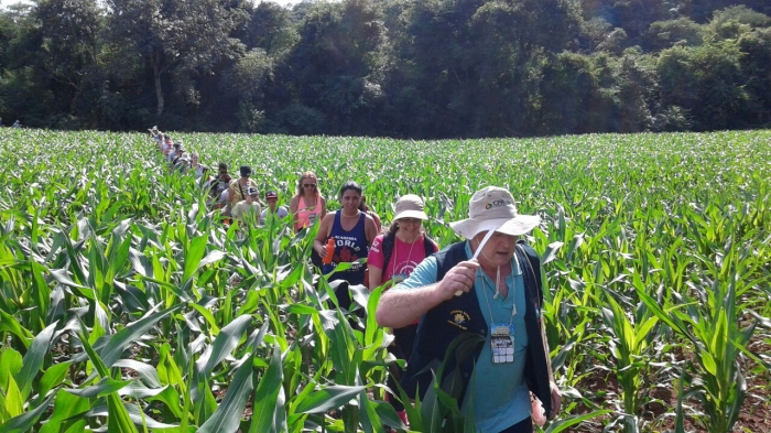 Imagem do dia - Terceira caminhada internacional na natureza em Nova Aurora (PR). Enviado pelo Técnico Agrícola David Clemente