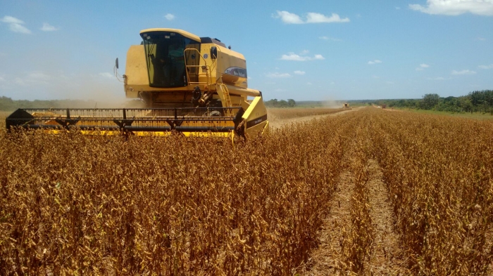 Imagem do dia - Colheita da soja em Araguacema (TO)