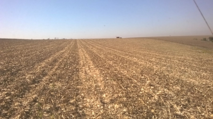Imagem do dia - Último dia de colheita no Sitio Santo Antônio, em Salto Grande (SP), do propriedade de Afonso Christ