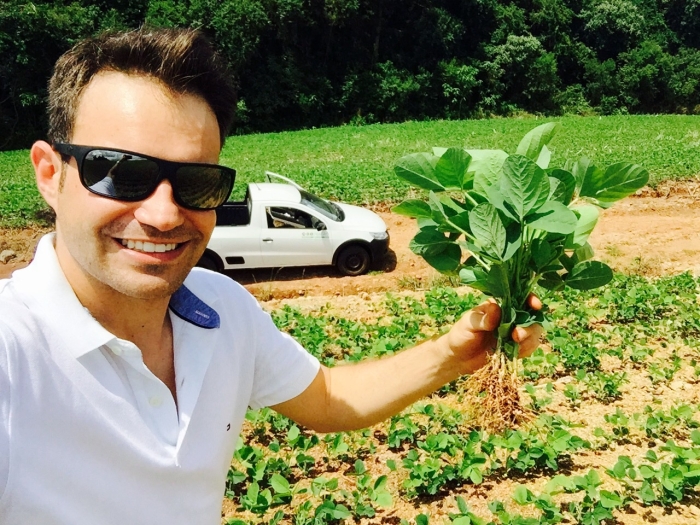 Imagem do dia - Lavoura de soja em Lagoa Vermelha (RS). Enviado pelo Engenheiro Agrônomo Carlos R. Dellavalle Filho