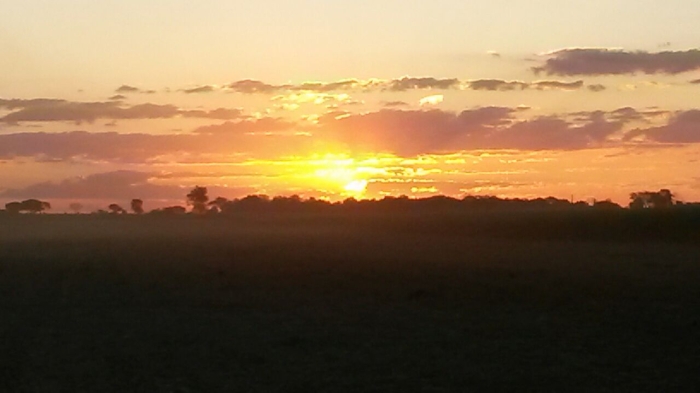 Imagem do dia - Pôr do sol em Conceição das Alagoas (MG). Enviado por Agnaldo Fujimura