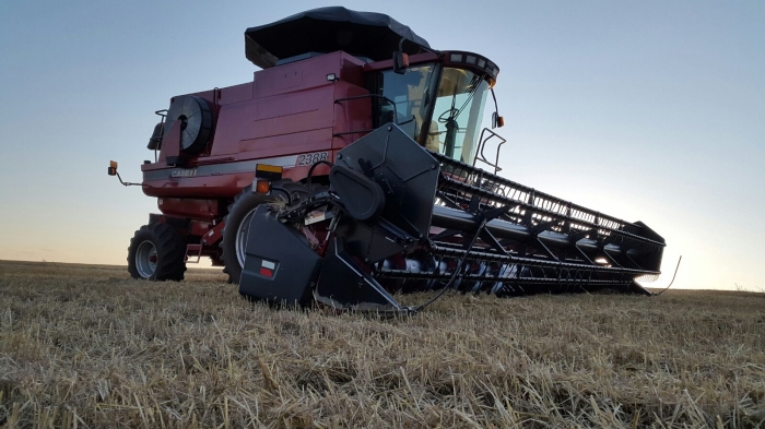 Imagem do dia - Fim da colheita de trigo em São Roque (PY). Enviado por Jean Paulo Lazzarotto