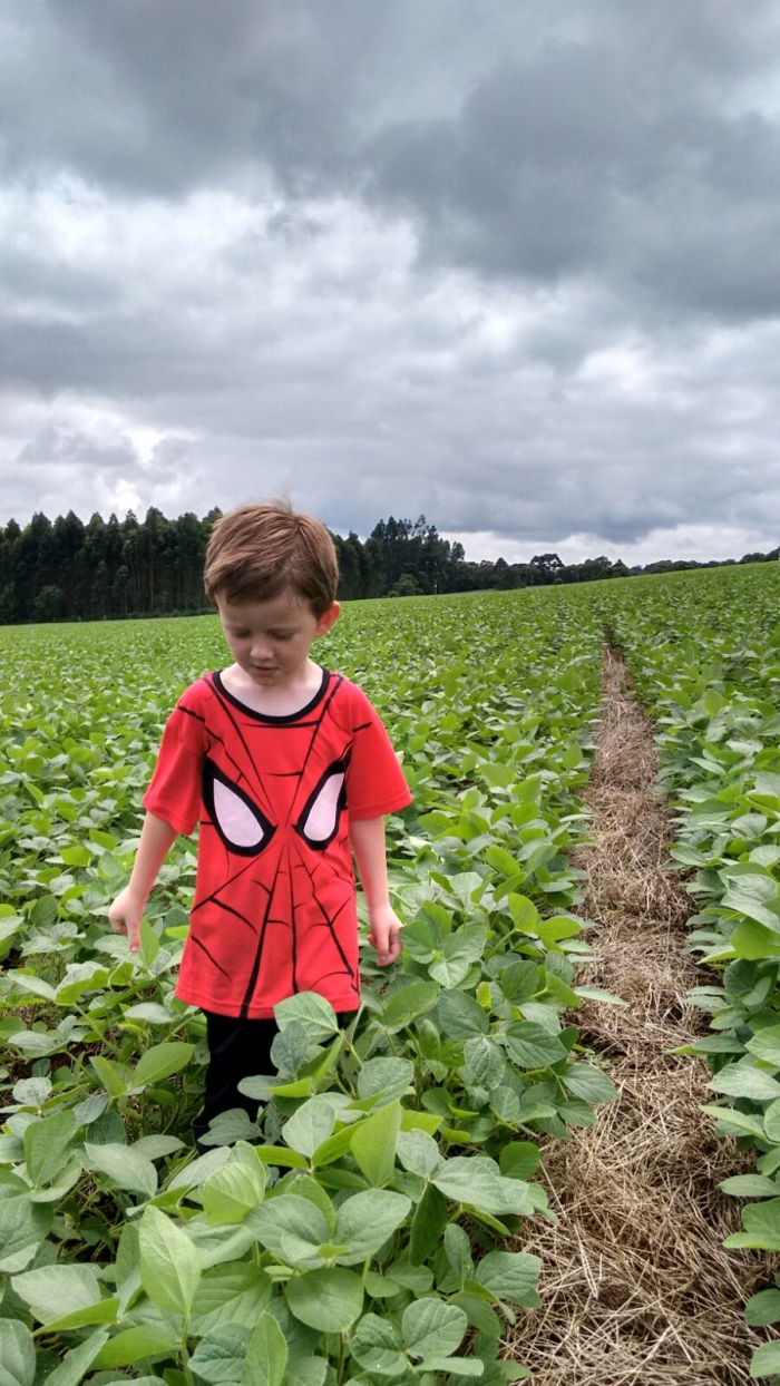Imagem do dia - Henrique na lavoura de soja do avô Osni Ruthes em Itaiópolis (SC)
