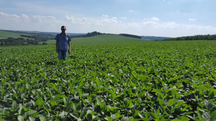 Imagem do dia - Lavoura de soja safrinha em Catanduvas (PR), do produtor Osmar Kern Anders.