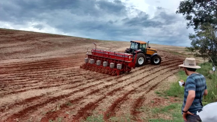 Imagem do dia - Plantio de milho em Congonhas (PR). Enviado pelo Técnico Agrícola Jeovani Serra