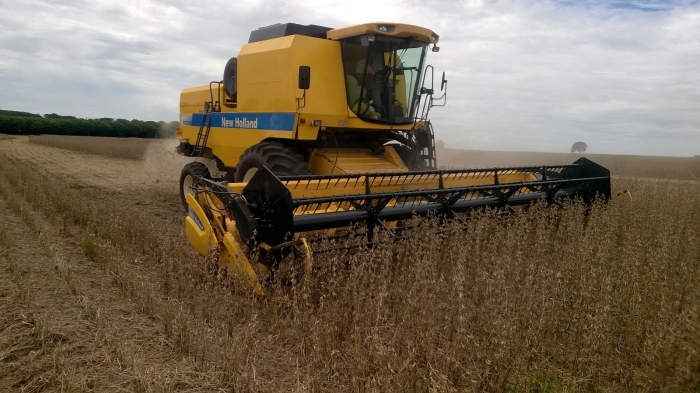 Imagem do dia - Colheita de soja em Bataguassu (MS), na Fazenda Santa Rosa