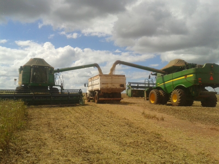 Imagem do dia - Colheita de soja na Fazenda 3A, em Cruzeiro do Sul (PR), do produtor Josivan Ferreira Tomaz.