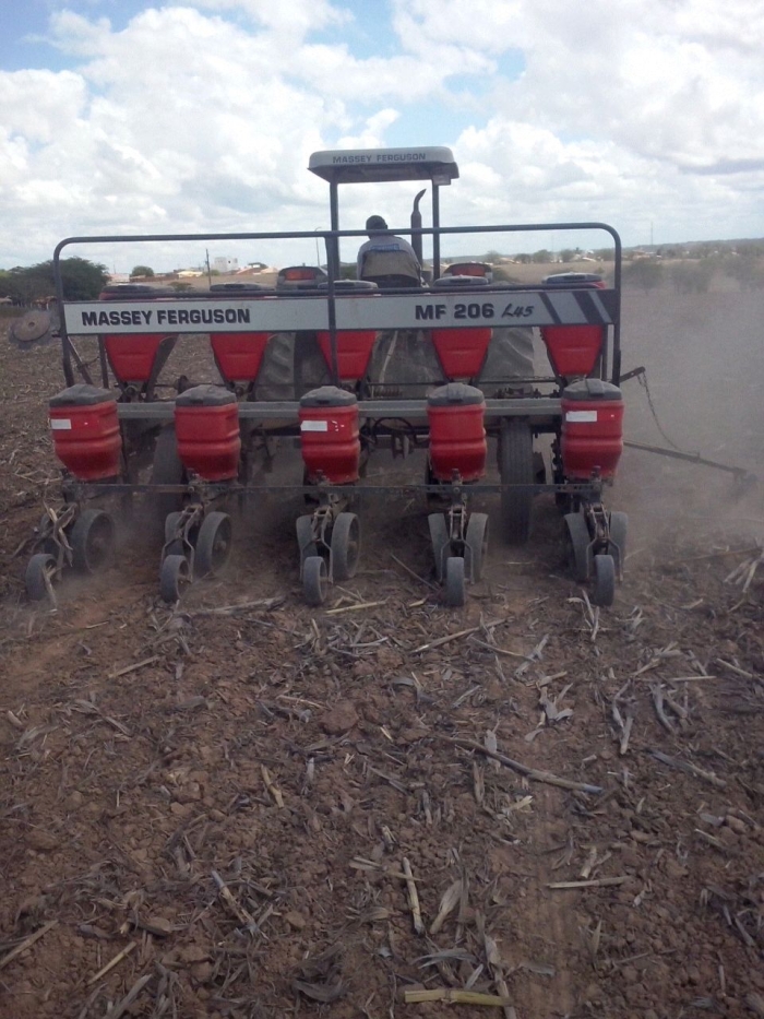 Imagem do dia  - Início do plantio de milho em Poço Verde (SE), do produtor Everaldo