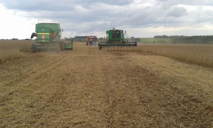 Imagem do dia - Início da colheita de soja em Estância Teixeira (PY)