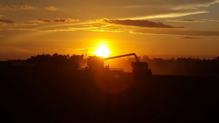 Imagem do dia - Colheita de soja em Nova Toledo (PY). Enviado por Enio Pilger
