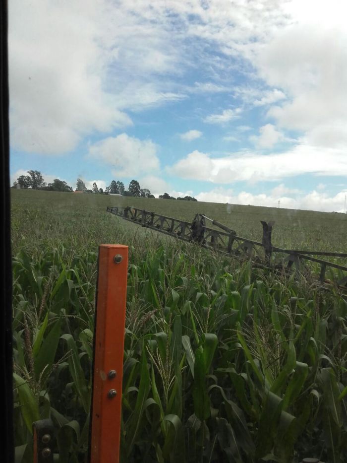 Imagem do dia - Aplicação de fungicida na lavoura de milho em Toledo (PR), do produtor Amilton Donassolo