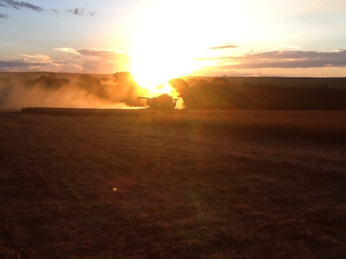 Imagem do dia - Finalização da colheita da soja em Luziânia (GO)