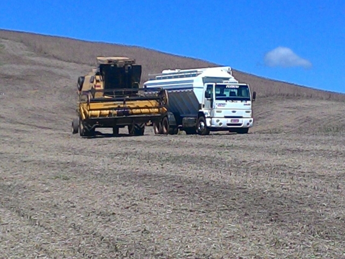Imagem do dia - Colheita soja em Treze Tilias (SC), da Família Caliari Comassetto