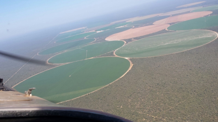 Imagem do dia - Imagem em São Romão (MG). Enviado pelo produtor Dercio Bruxel