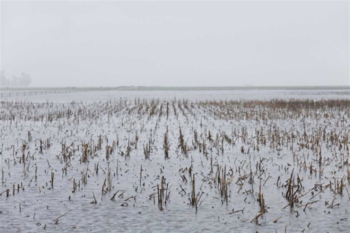 As inundações deixaram consequências que, hoje, se fazem visíveis (Fonte: La Nación/Santiago Halford)