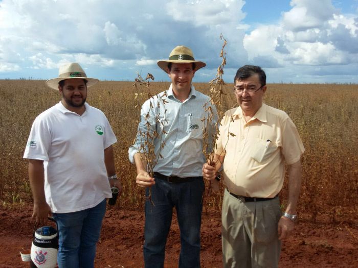 Imagem do dia - Roberto Gregory, Alexon e Renato na área de soja em San Alberto (PY)