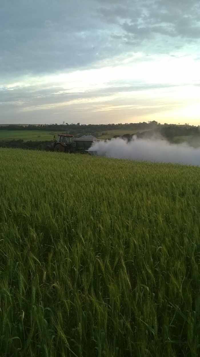 Imagem do dia - Esparramando calcário em Mercedes (PR), do produtor Oldair Zancanella