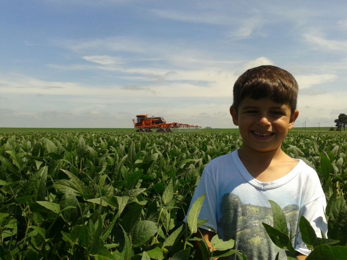 Imagem do dia - Lavoura de soja em Cruzália (SP), da Família Totti