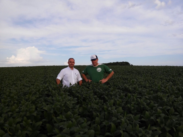 Imagem do dia - Produtor Vanderlei Epple e Técnico Agrícola Paulo Moreira na lavoura de soja em Panambi (RS)