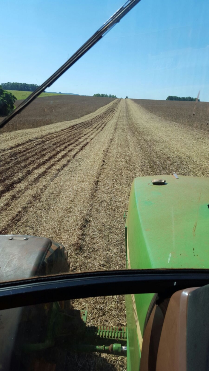 Imagem do dia - Colheita de  soja em Alto Paraná (PY). Enviado por Maico