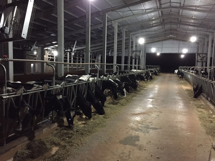 Imagem do dia - Agropecuária Malage em Coronel Vivida (PR)