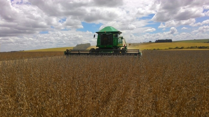 Imagem do dia - Colheita de soja em Santa Bárbara do Sul (RS), do produtor Fabiano Baiotto