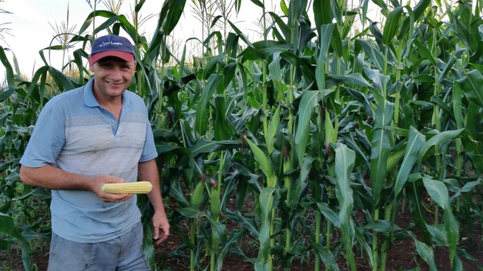 Imagem do dia - Amanhecer na propriedade de Eusébio Vicentin em Lagoa Vermelha (RS). Envio do Técnico Agrícola Everton Oliveira