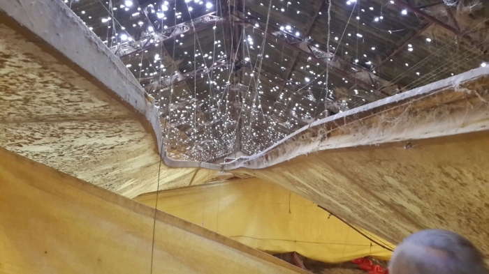 Imagem do dia - Estragos causados pela chuva de granizo em Ipiranga do Sul (RS), na propriedade Volnei Cecconello.  Enviado pelo Engenheiro Agrônomo Mateus Cecconello