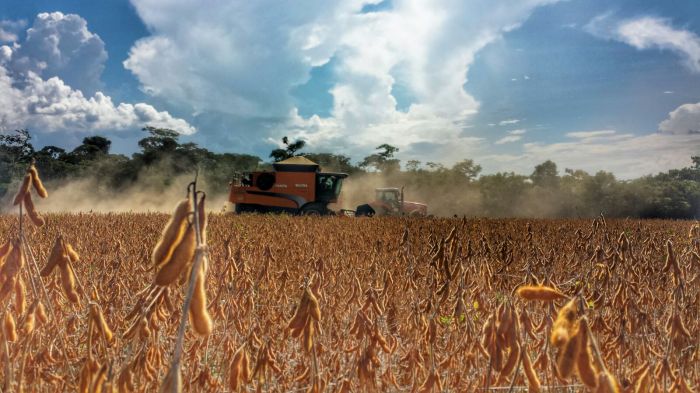 Imagem do dia - Colheita de soja em Guarantã do Norte (MT), dos produtores Tiago Daniel Marques dos Santos e Giovane Moisés Marques dos Santos
