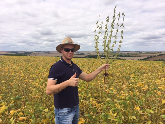 Imagem do dia - Engenheiro Agrônomo Carlos Gustavo Gehrke na lavoura de soja em Santa Barbara do Sul (RS)