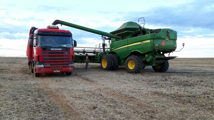 Imagem do dia - Colheita de soja em Rio Paranaíba (MG)