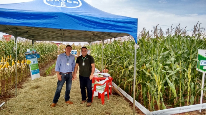 Imagem do dia - Bruno Henrique Balbino em Santa Cruz do Rio Pardo (SP)