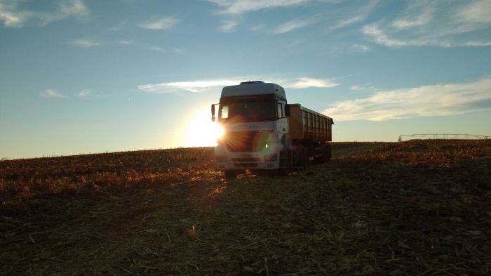 Imagem do dia - Colheita de milho em Gramados dos Loureiros (RS), na Fazenda Gasparoto.  Enviado por Dioni Bonato