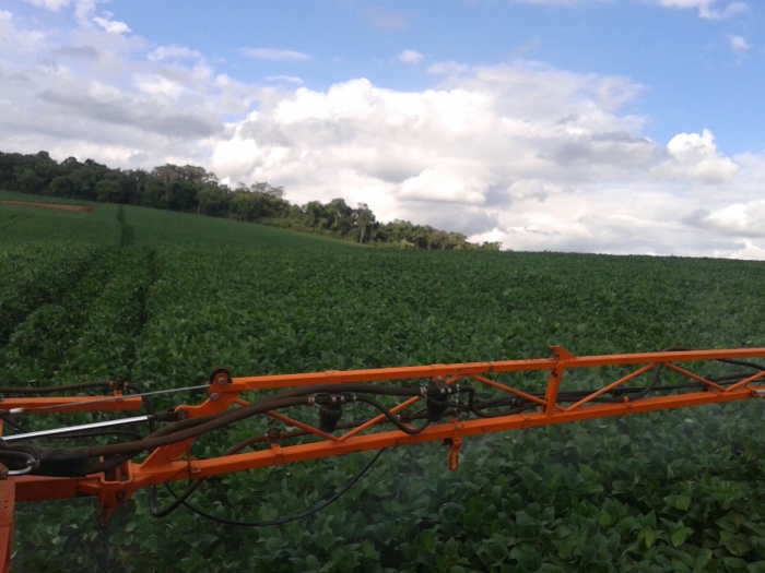 Imagem do dia - Lavoura de soja em Getúlio Vargas (RS)