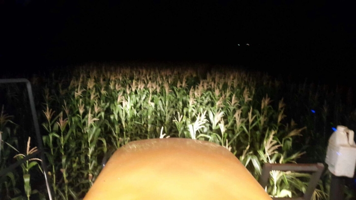 Imagem do dia - Aplicação de fungicida noturna em Pedrinhas Paulista (SP). Enviado pelo Antonio Franco Neto