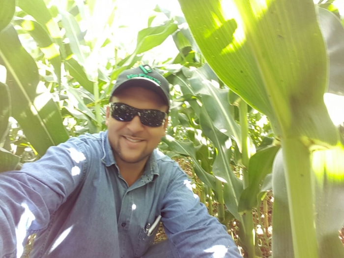 Imagem do dia - Lavoura de milho em Comodoro (MT). Enviado pelo Gerente da Fazenda Campo Belo, Rodolfo Domingues Farias