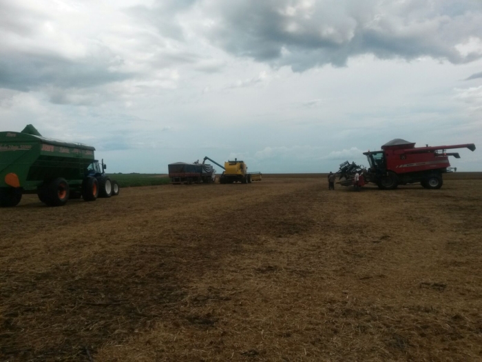 Imagem do dia - Colheita de soja em Canarana (MT), na Fazenda Dall Asta.