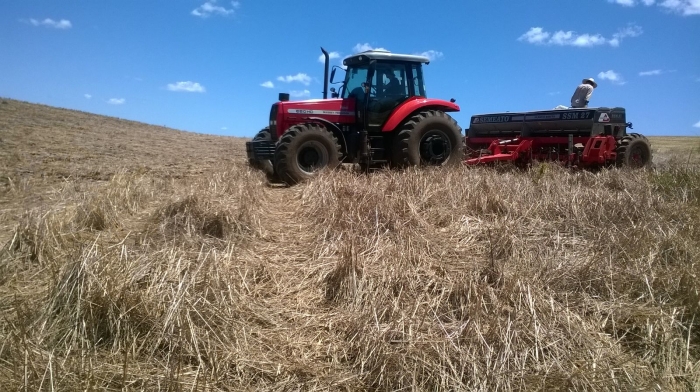 Imagem do dia - Plantio de soja em Ronda Alta (RS), na propriedade de Alceu Bedin e Filhos