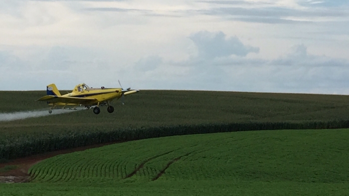 Imagem do dia - Aplicação de fungicida na lavoura de milho em Guarapuava (PR)