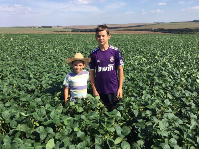 Imagem do dia - Lavoura de soja em Palmeira das Missões (RS). Enviado por Alexandre Van Ass