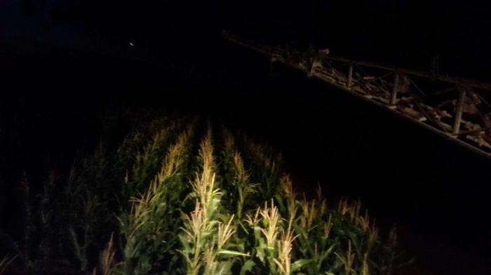 Imagem do dia - Aplicação de fungicida noturna em Pedrinhas Paulista (SP). Enviado pelo Antonio Franco Neto