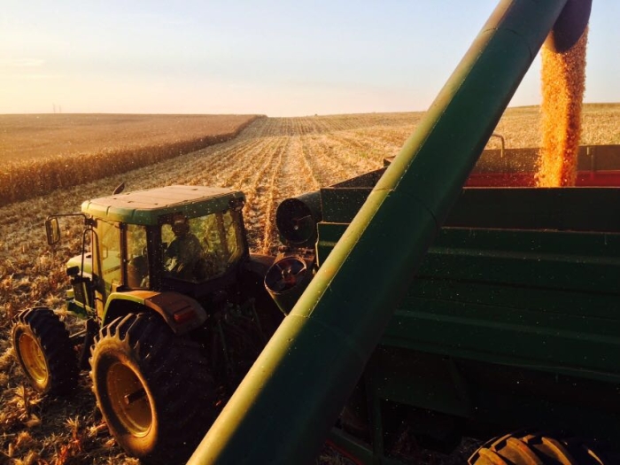 Imagem do dia - Colheita de milho em Rancho Alegre (PR), na Fazenda Água Nova