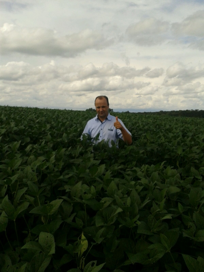 Imagem do dia - Técnico Agrícola Adão Such na lavoura de soja em São Mateus do Sul (PR). Enviado pelo Engenheiro Agrônomo Felipe Towenko Garcia