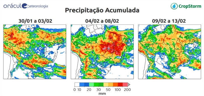 Previsão - Oráculo 30/01