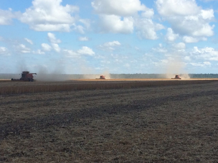 Imagem do dia - Colheita de soja em Canarana (MT). Enviado por Leonardo Bevilaqua