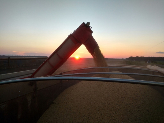 Imagem do dia - Colheita de soja em Porto dos Gaúchos (MT)