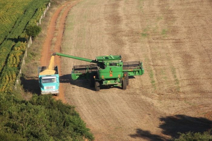 Imagem do dia - Colheita de soja em São Sepé (RS), dos produtores Paulo e Julio Bolzan. Imagens enviadas por Paulo Fontana