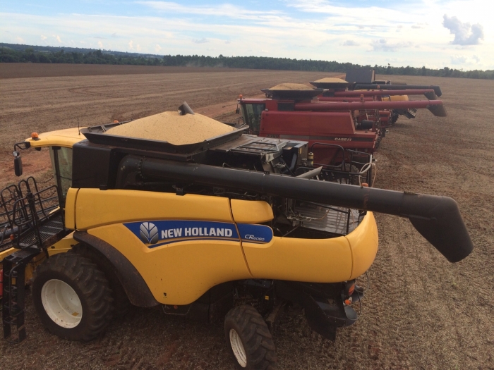 Imagem do dia - Iniciando a colheita de soja em San Cristóbal (PY)